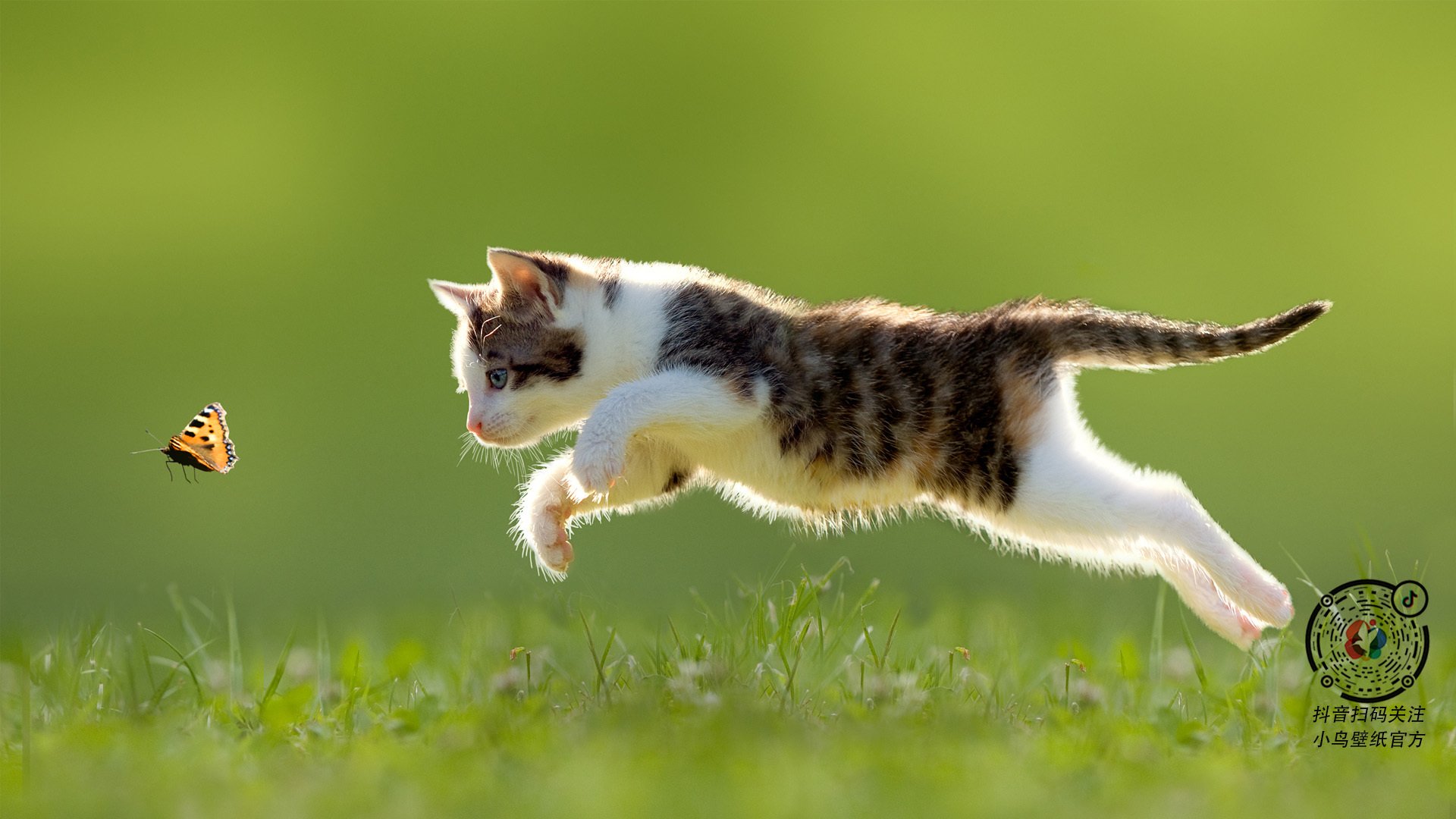 逆袭时刻，灰熊21分大逆转福建，陶汉林31+23刷新历史纪录