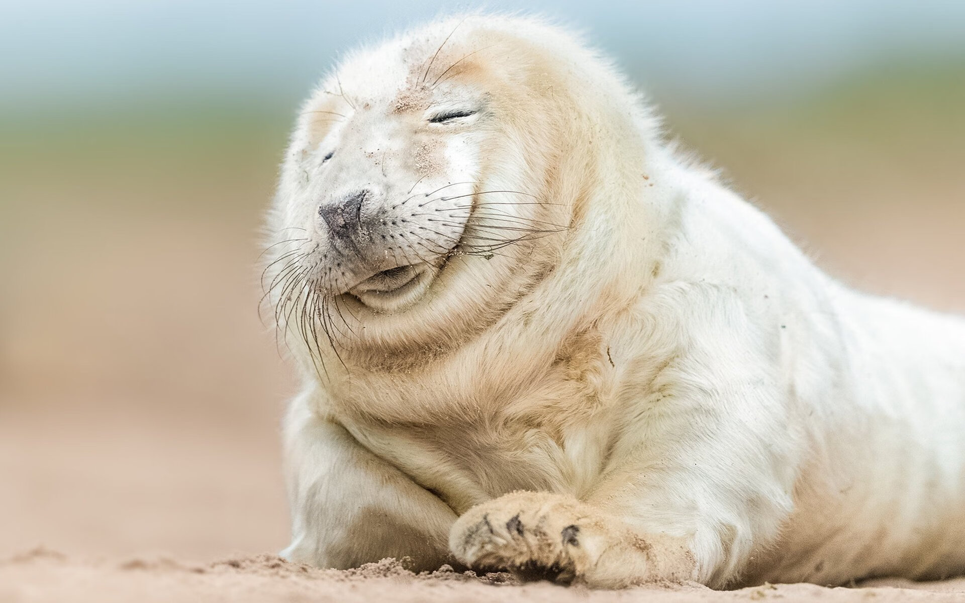 奇迹的命名者，黄鸭组合高光绝杀铸就经典一战