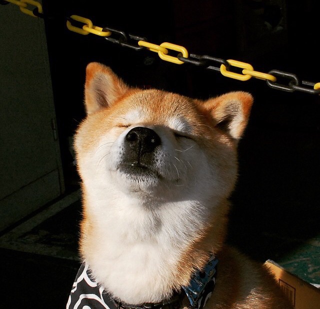 温网用数据王权碾压澳网，蒂姆如何用三记ACE战火点燃中心球场？