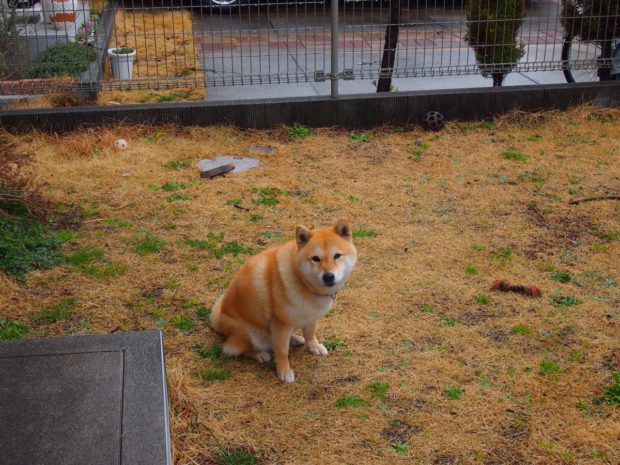 交响乐与叹息之墙，赖斯的节奏艺术与皇马的铁壁哲学