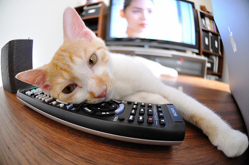 代码战争，2026世界杯焦点战背后的数据对决