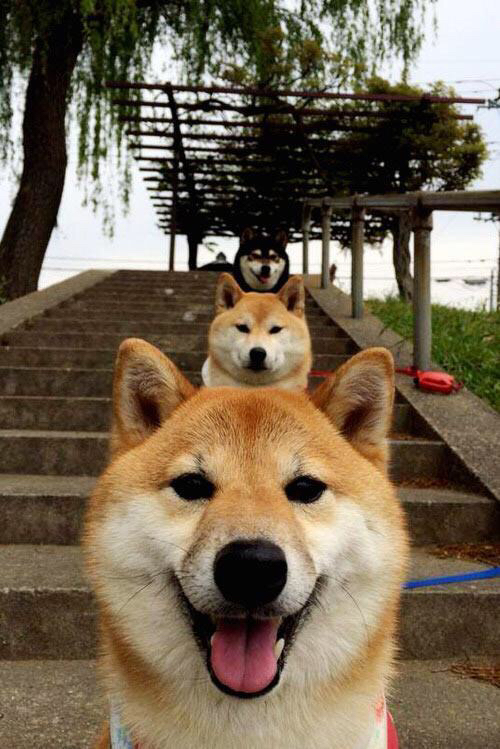 唯一定律，浓眉化身攻防魔术师，决胜时刻一球带走骑士