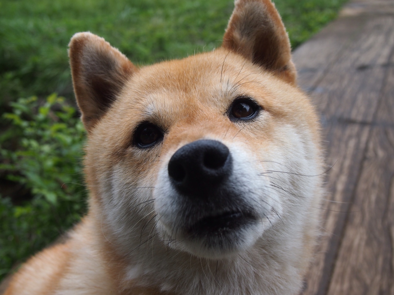 万花筒与交响乐，哈登奥运前哨战的统治力，及爵士逆袭背后的篮球哲学