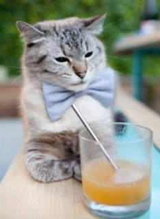 1.铁血马竞碾碎韩国防线，巴尔韦德一锤定音成欧冠关键先生