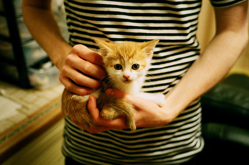 从质疑到巨星，沉睡的火箭苏醒，保罗死神镰刀绝杀灰熊