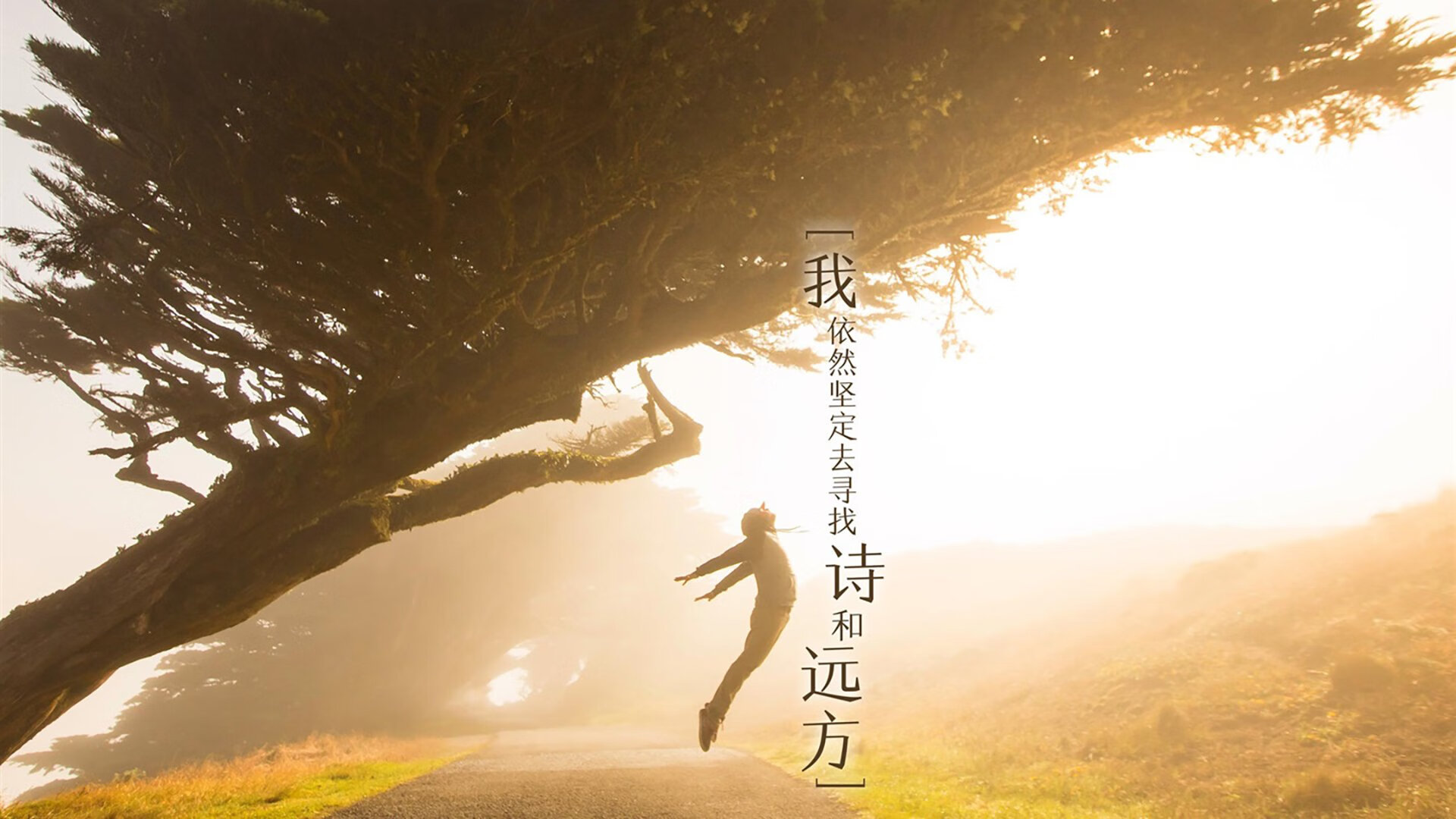 黑马与铁幕，足球世界里的希腊神话与德甲最后的疯狂