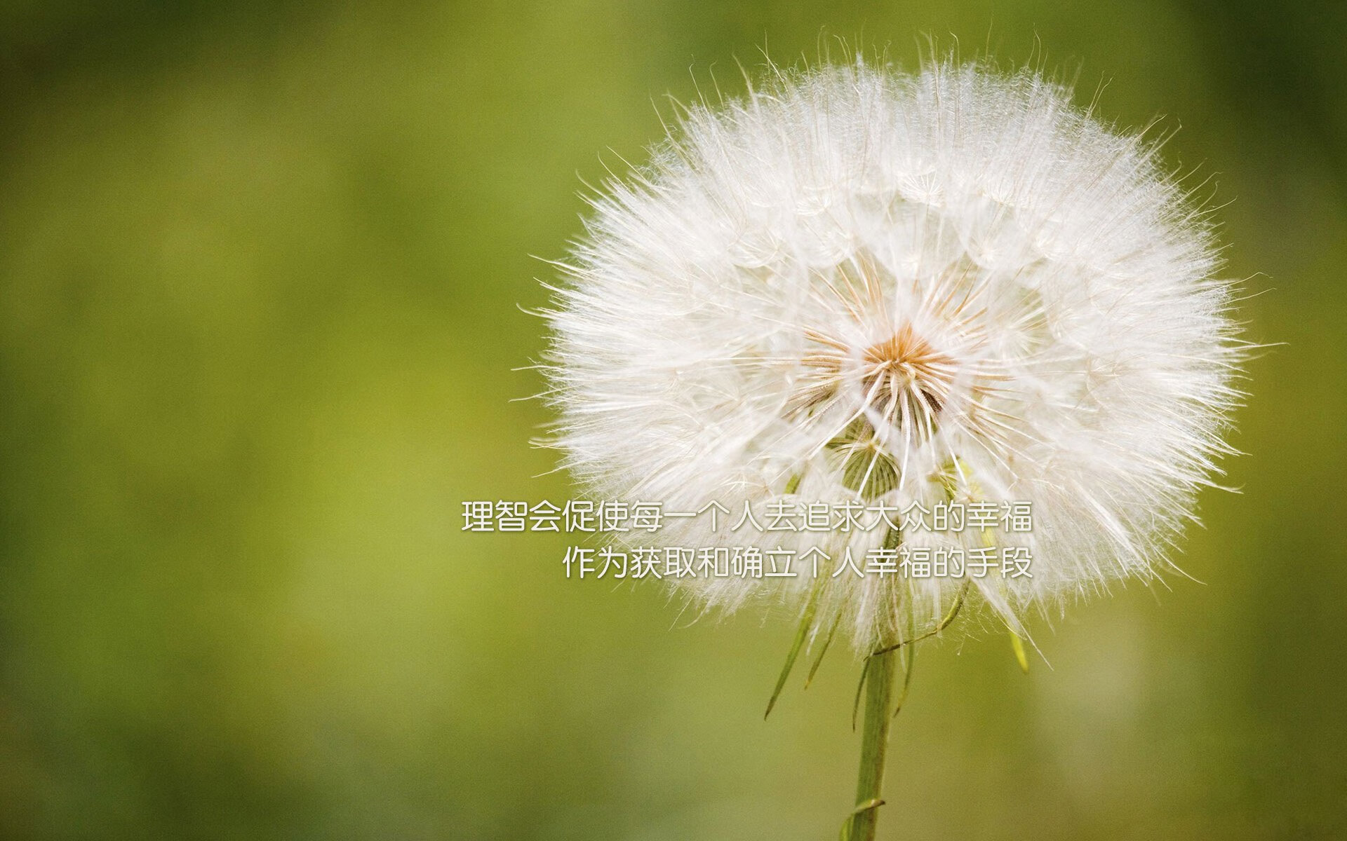 跨界英雄，比利时击溃摩洛哥之战，梅西关键先生改写结局