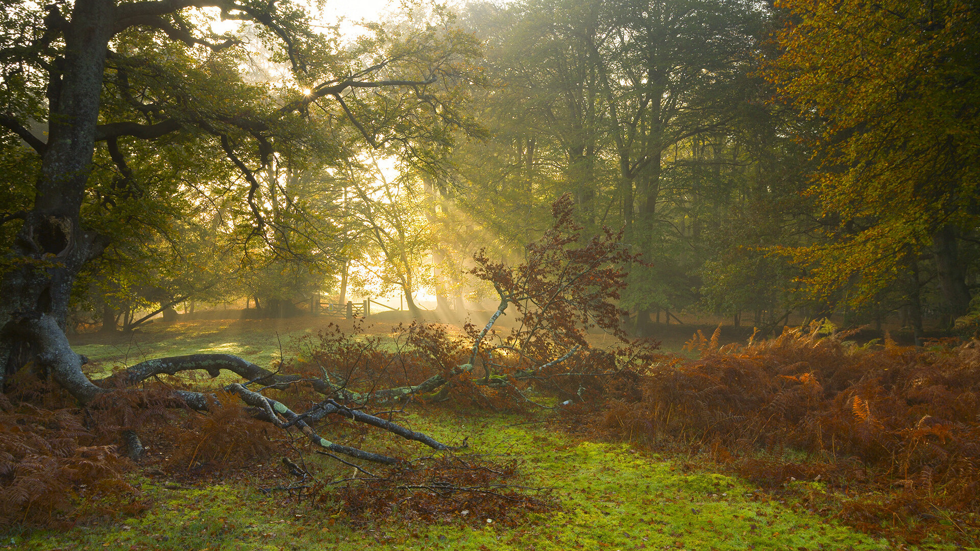 绿茵德比的双面镜，从伊比利亚到北非，战术纪律如何跨越地中海改写命运