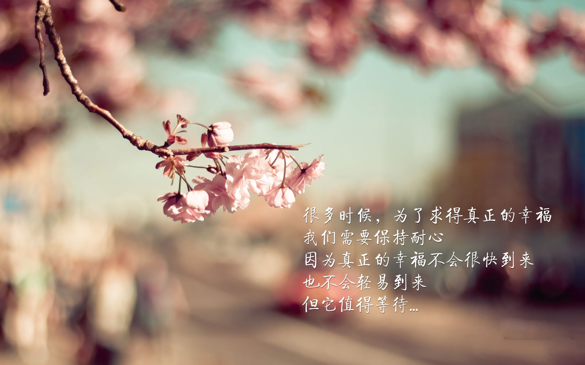 稳态宇宙的裂痕，当塔图姆的恒纪元遭遇活塞制造的太阳风暴