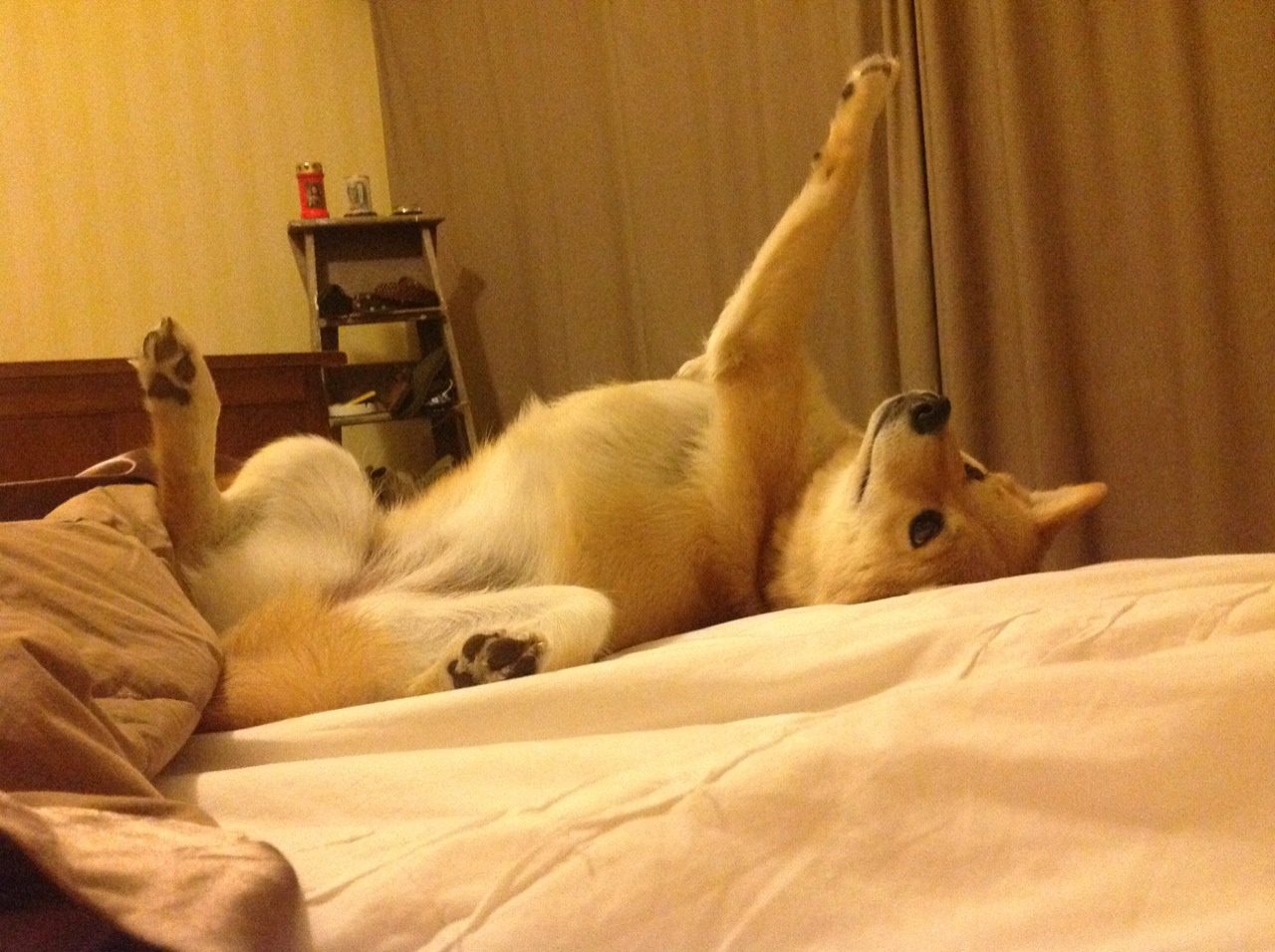 爱游戏-绿茵场上的降维打击，当委内瑞拉遇上马德里竞技，范戴克如何定义巨星价值