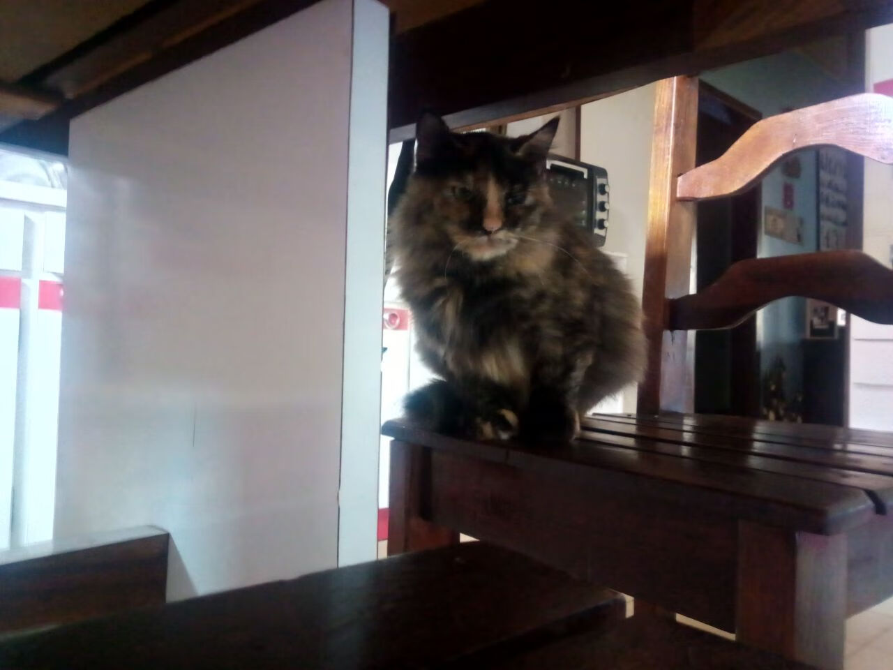 爱游戏在线-被抹去的名字，当勇士对阵凯尔特人，那个不存在的攻防转换核心