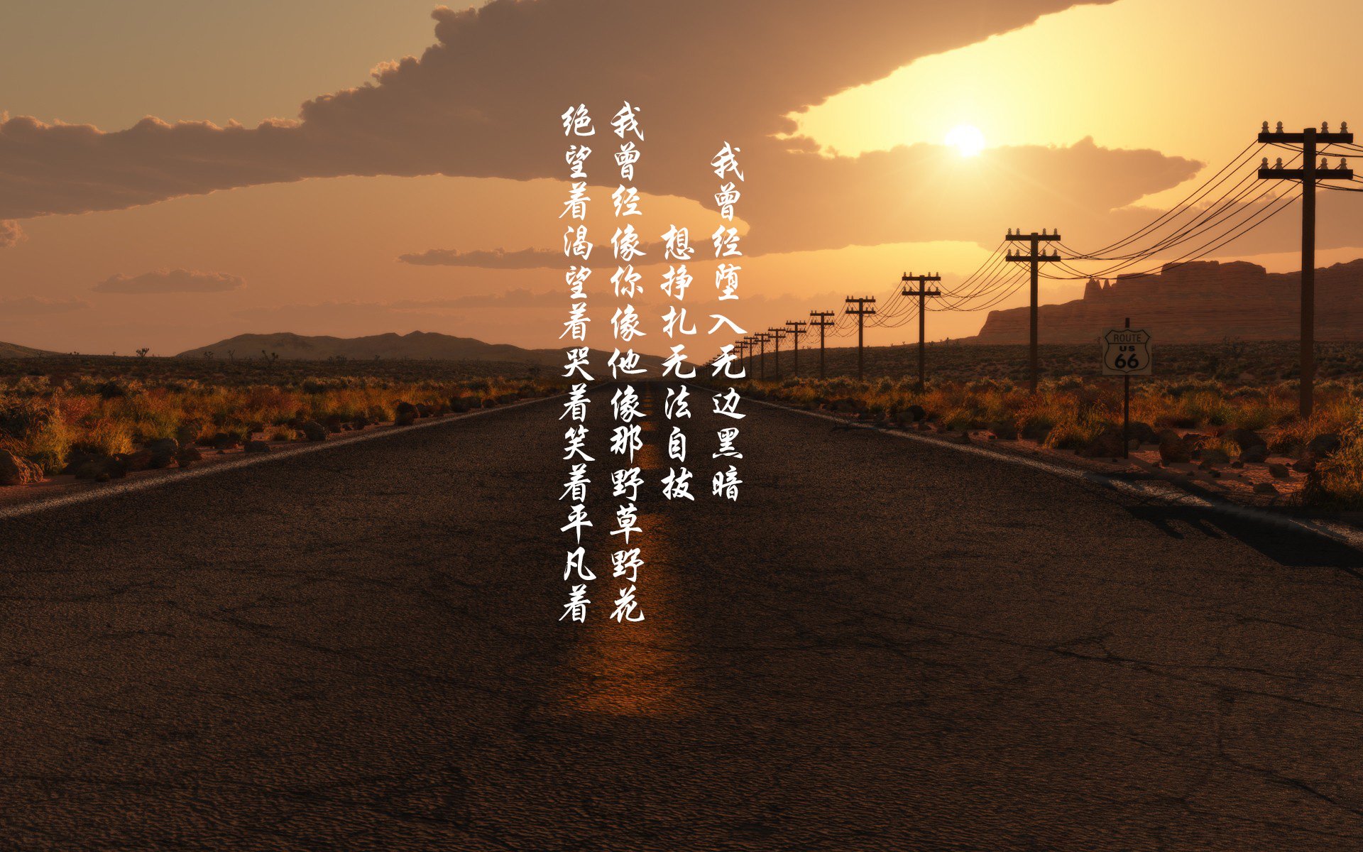 铁壁封锁南美风暴,齐耶赫导演致命一击,荷兰在2026世界杯D组关键战中险胜厄瓜多尔
